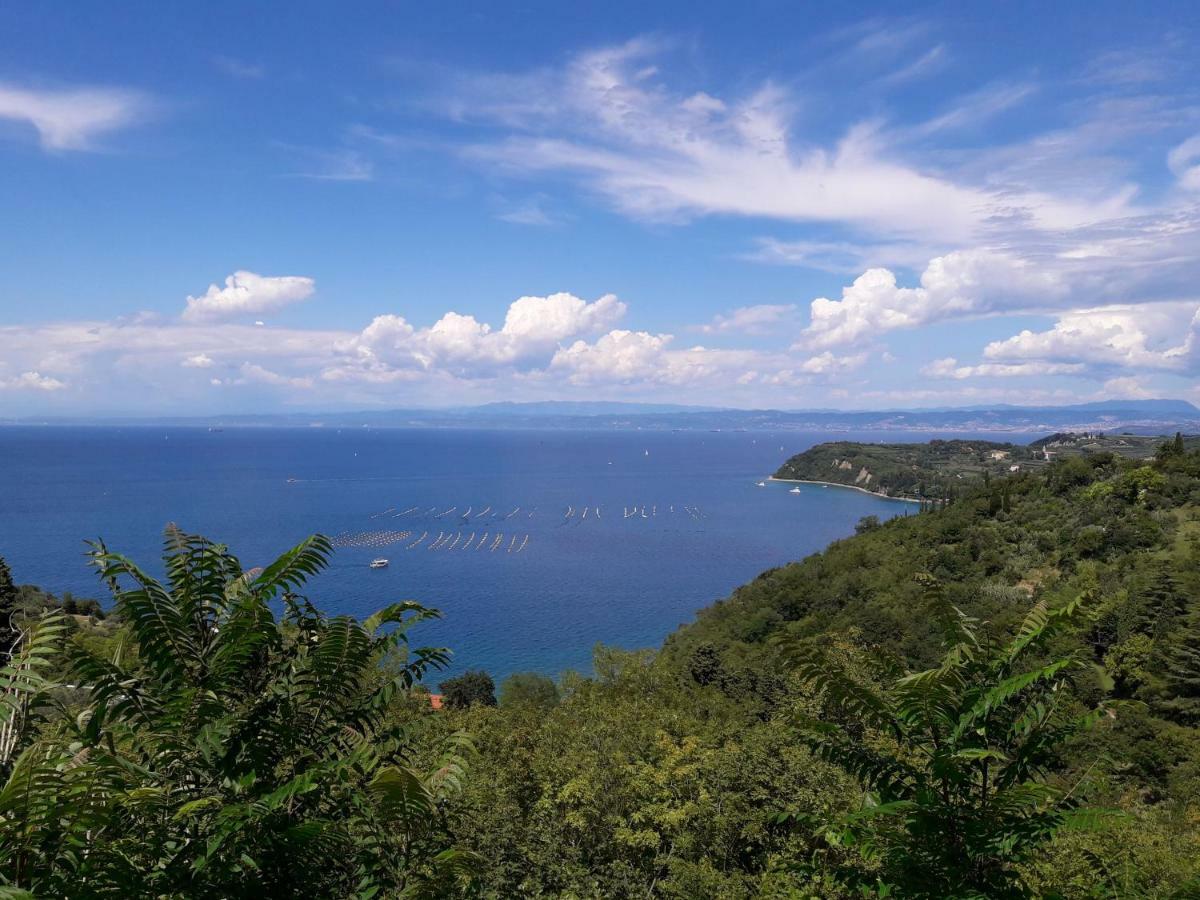 Apartma Kocevar Portorož Extérieur photo